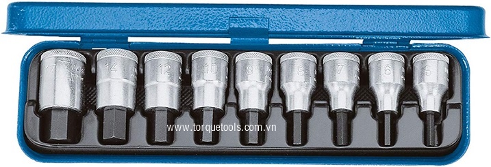 Bo Khau Gedore IN 19 PA, Gedore socket set IN 19 PA