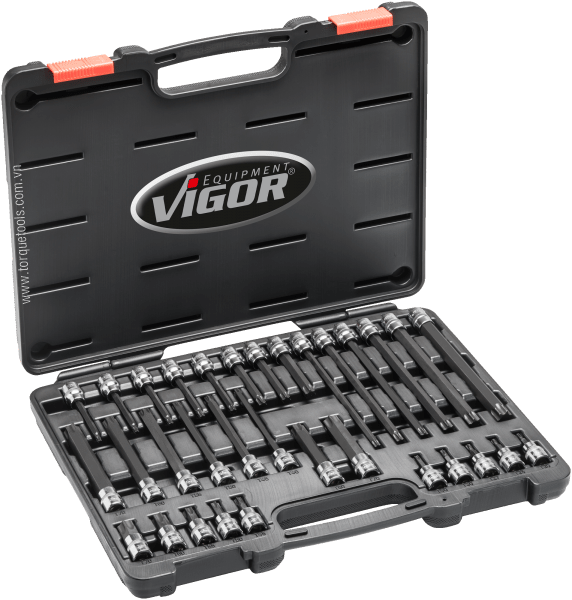 Bộ dụng cụ Vigor V6017, bộ khẩu Vigor V6017