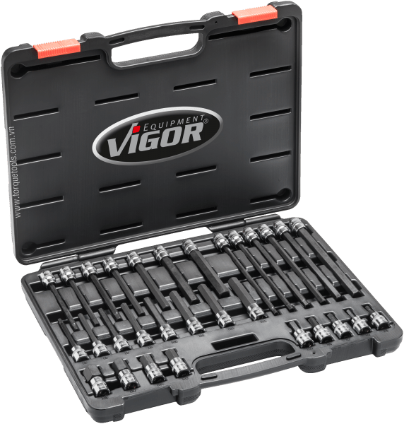 Bộ dụng cụ Vigor V6019, bộ khẩu Vigor V6019