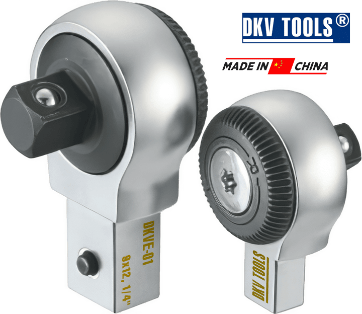 dau co le luc dkvd-01, dau co le siet luc dkvd-01