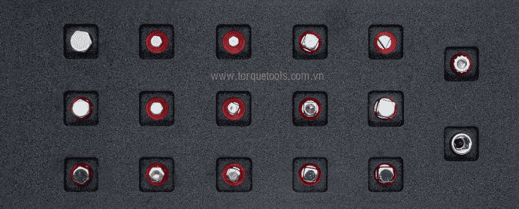 Khay dung cu  Bahco FF1E5009, Bahco soft foam insert FF1E5009