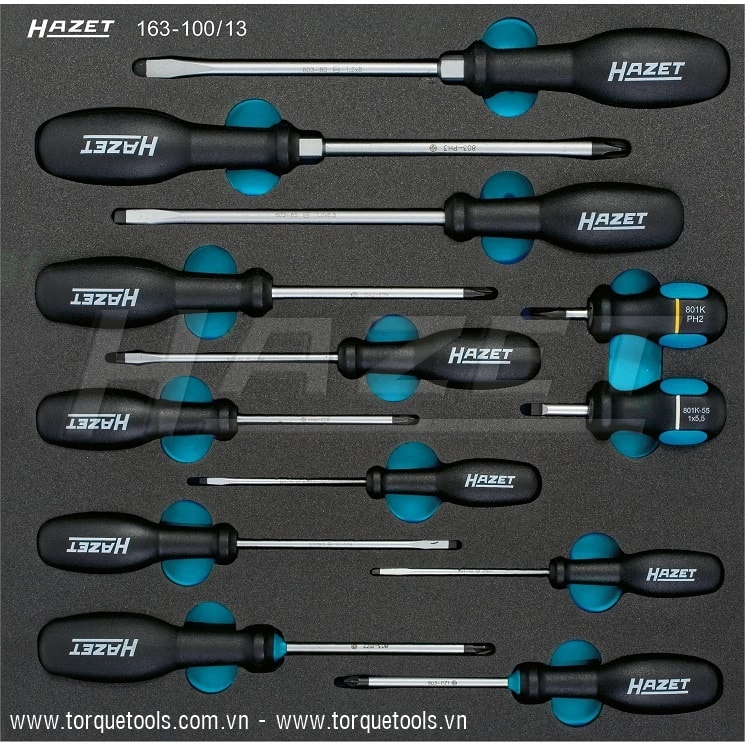Khay dụng cụ Hazet 163-100/13, Hazet plastic foam inserts 163-100/13