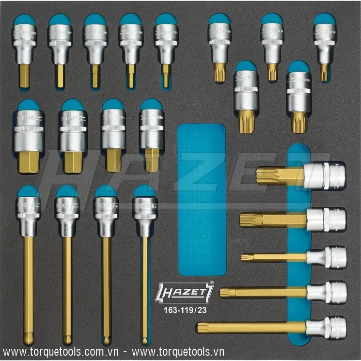 Khay dụng cụ Hazet 163-119/23, Hazet plastic foam inserts 163-119/23