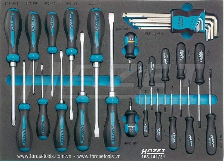 Khay dụng cụ Hazet 163-141/31, Hazet plastic foam inserts 163-141/31