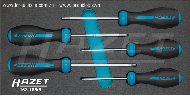 Khay dụng cụ Hazet 163-185/5, Hazet plastic foam inserts 163-185/5