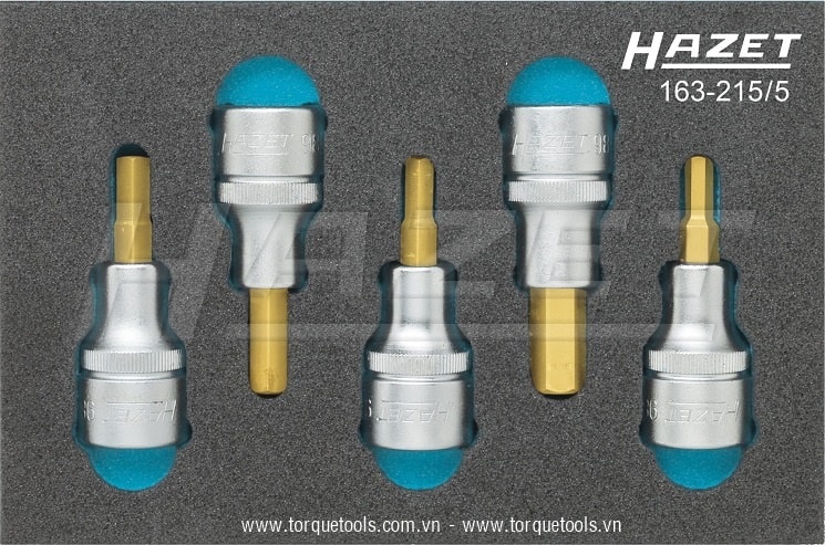 Khay dụng cụ Hazet 163-215/5, Hazet plastic foam inserts 163-215/5