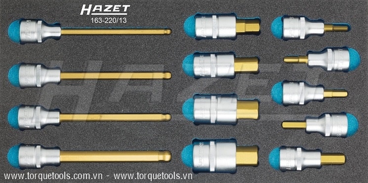Khay dụng cụ Hazet 163-220/13, Hazet plastic foam inserts 163-220/13