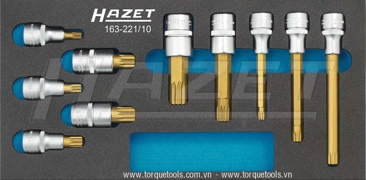 Khay dụng cụ Hazet 163-221/10, Hazet plastic foam inserts 163-221/10