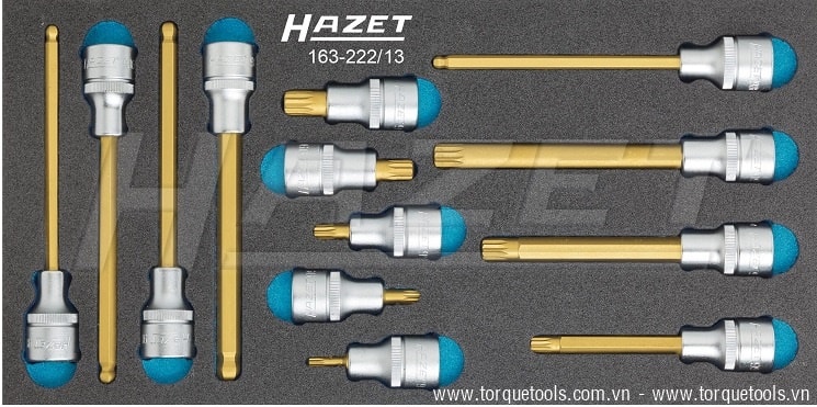 Khay dụng cụ Hazet 163-222/13, Hazet plastic foam inserts 163-222/13