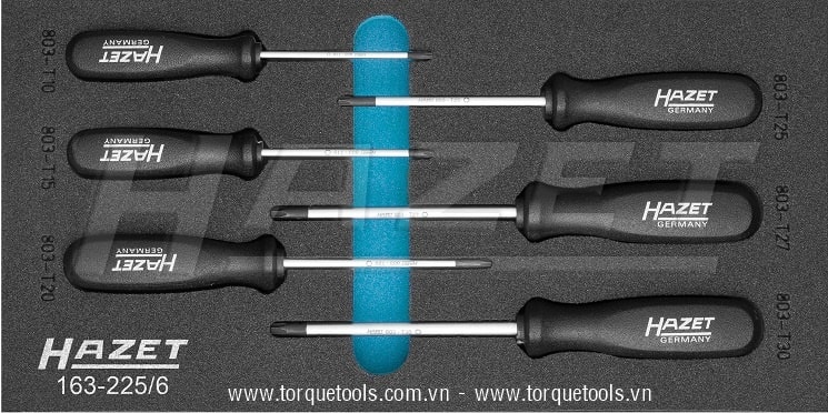 Khay dụng cụ Hazet 163-225/6, Hazet plastic foam inserts 163-225/6