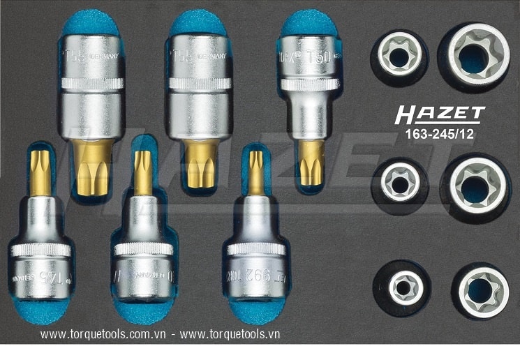 Khay dụng cụ Hazet 163-245/12, Hazet plastic foam inserts 163-245/12