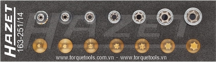 Khay dụng cụ Hazet 163-251/14, Hazet plastic foam inserts 163-251/14
