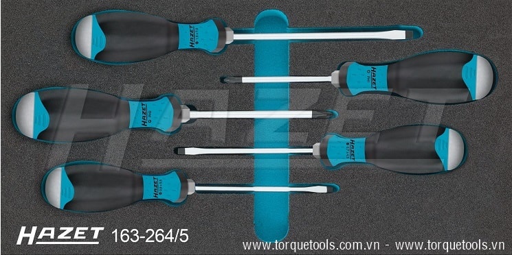 Khay dụng cụ Hazet 163-264/5, Hazet plastic foam inserts 163-264/5