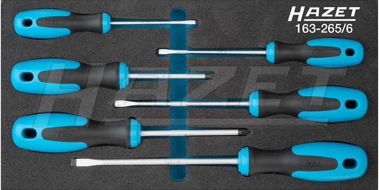 Khay dụng cụ Hazet 163-265/6, Hazet plastic foam inserts 163-265/6
