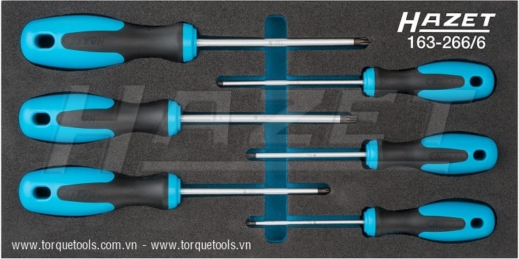 Khay dụng cụ Hazet 163-266/6, Hazet plastic foam inserts 163-266/6