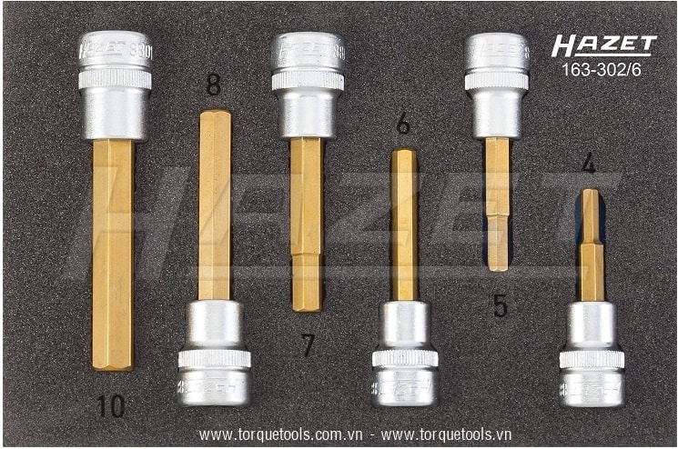Khay dụng cụ Hazet 163-302/6, Hazet plastic foam inserts 163-302/6