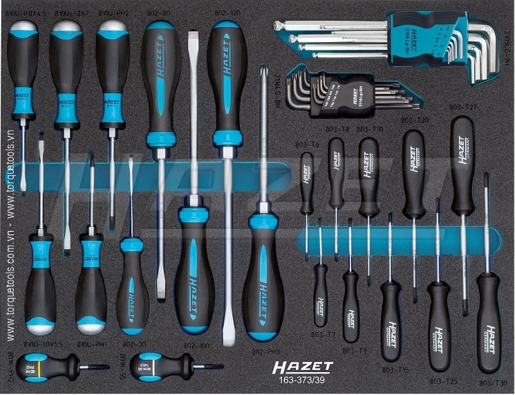 Khay dụng cụ Hazet 163-373/39, Hazet plastic foam inserts 163-373/39
