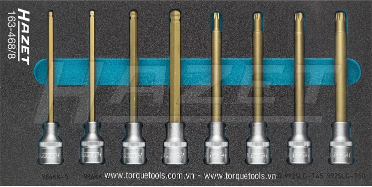 Khay dụng cụ Hazet 163-468/8, Hazet plastic foam inserts 163-468/8